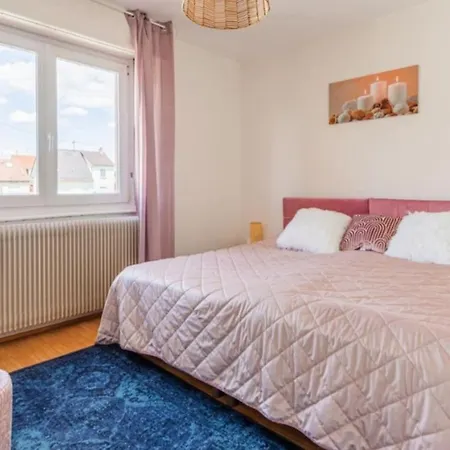 Comfortable Near Strasbourg Apartament