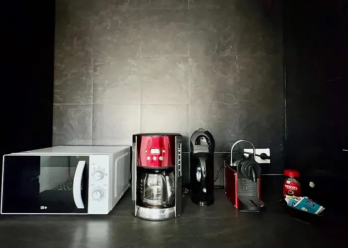 Shalhome 1 Comfort At The Gates Of Strasbourg 아파트 *